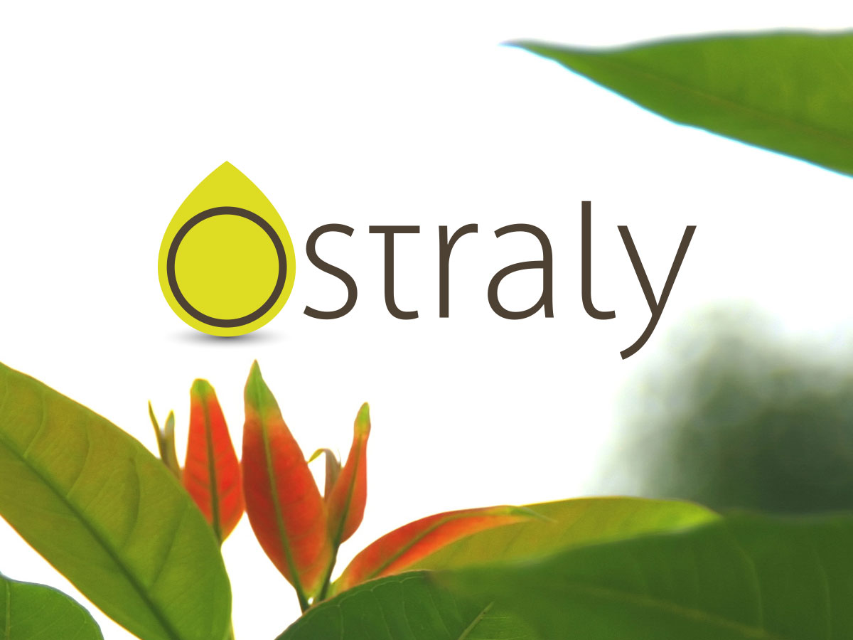logo Ostraly