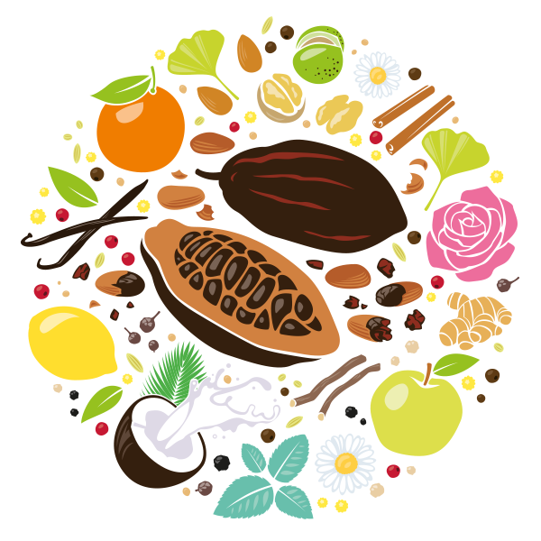 Illustration vectorielle